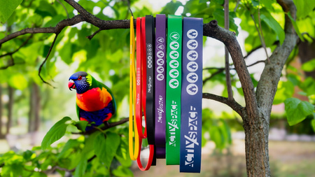 Zestaw 6 gum do ćwiczeń taśmy oporowe lateksowe - power band